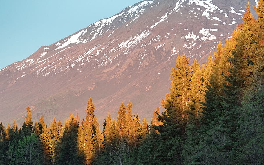 trees, mountain, glow, sunlight, autumn, fall, alaska, travel HD wallpaper