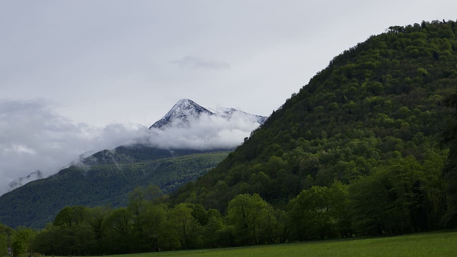 hill next to a mountain Surrounded by Clouds, cagire mountain HD wallpaper
