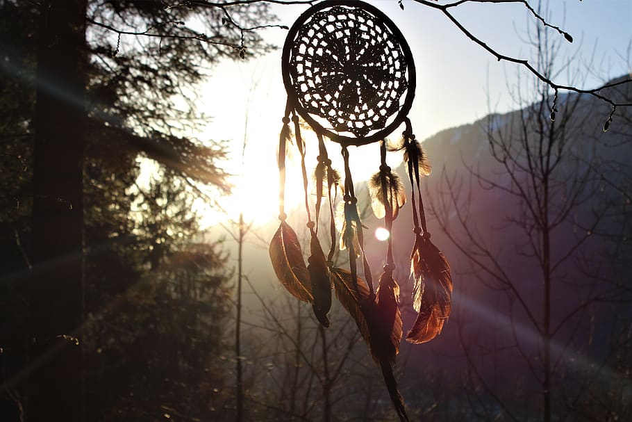 dream catcher, feather, sunset, forest, nature, tree, wood