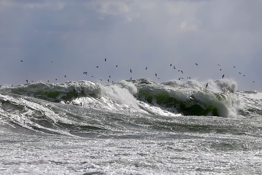 waters, sea, ocean, wave, nature, coast, surf, beach, bornholm HD wallpaper