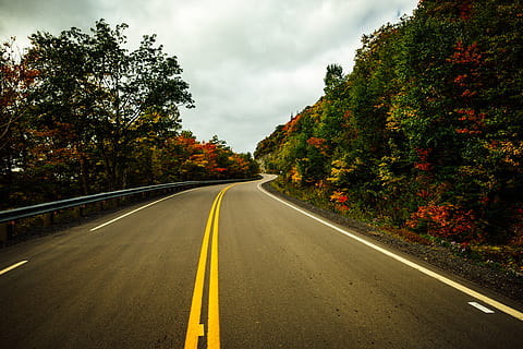 empty road, way, cabot trail, canada, asphalt, tarmac, bush, plant HD wallpaper