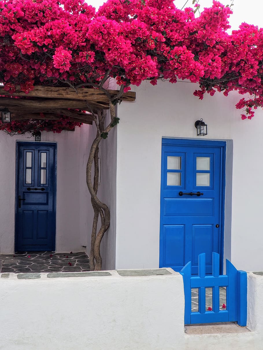 Closed Blue Door, architecture, daylight, doorway, entrance, estate HD wallpaper
