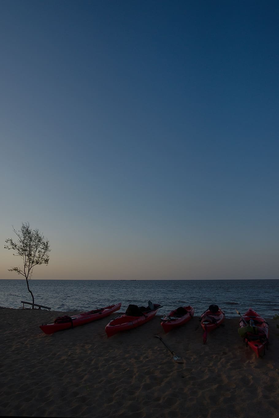 kayak, suriname, survival, sea, beach, sky, water, land, scenics - nature, HD wallpaper
