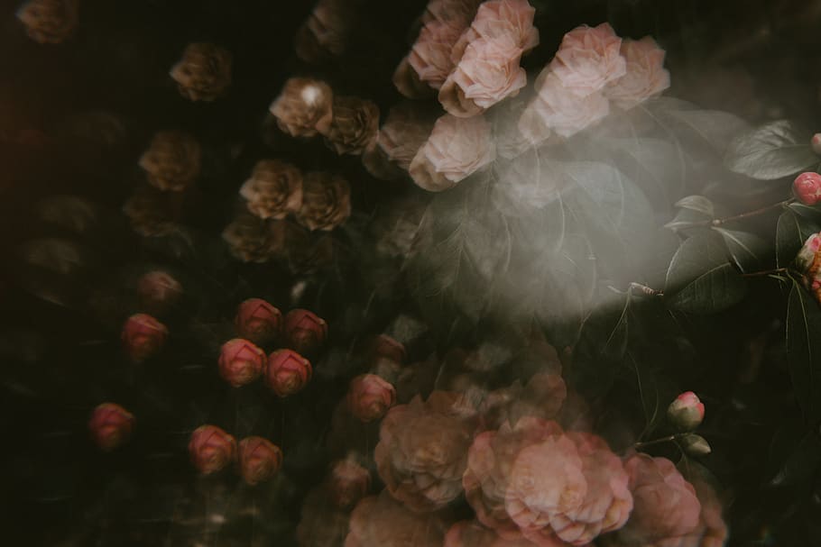 no people, close-up, smoke - physical structure, indoors, freshness HD wallpaper