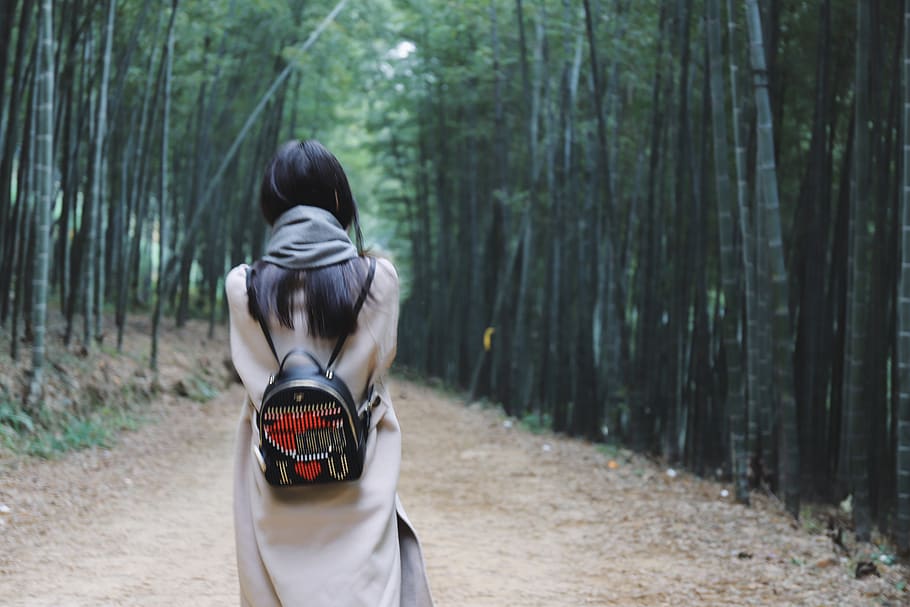 rear view, forest, tree, land, one person, real people, plant HD wallpaper