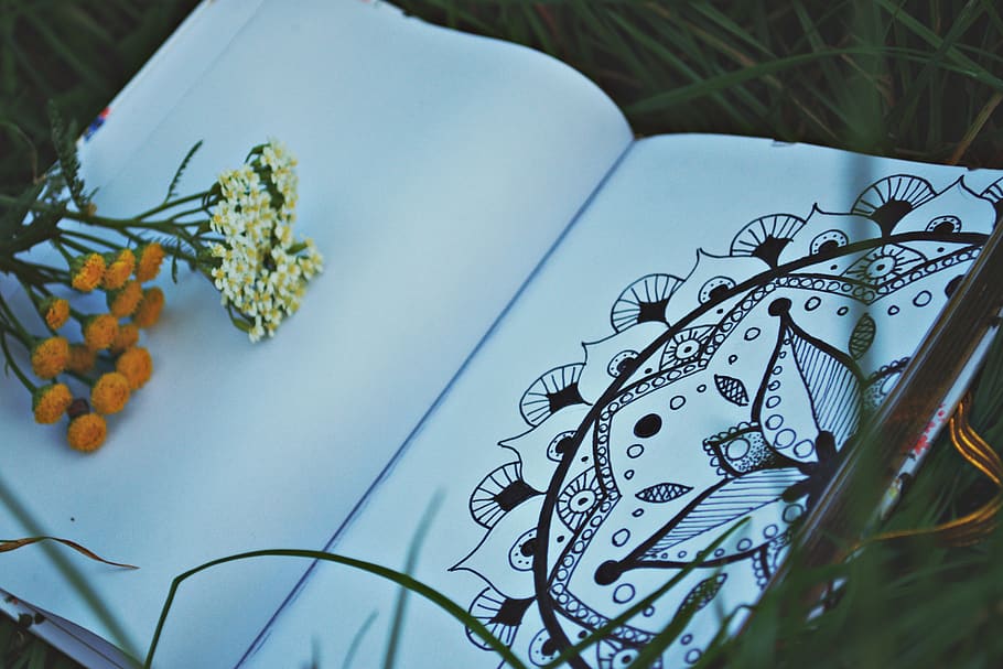 notebook, grass, mandala, drawing, nature, green, outdoor, day HD wallpaper
