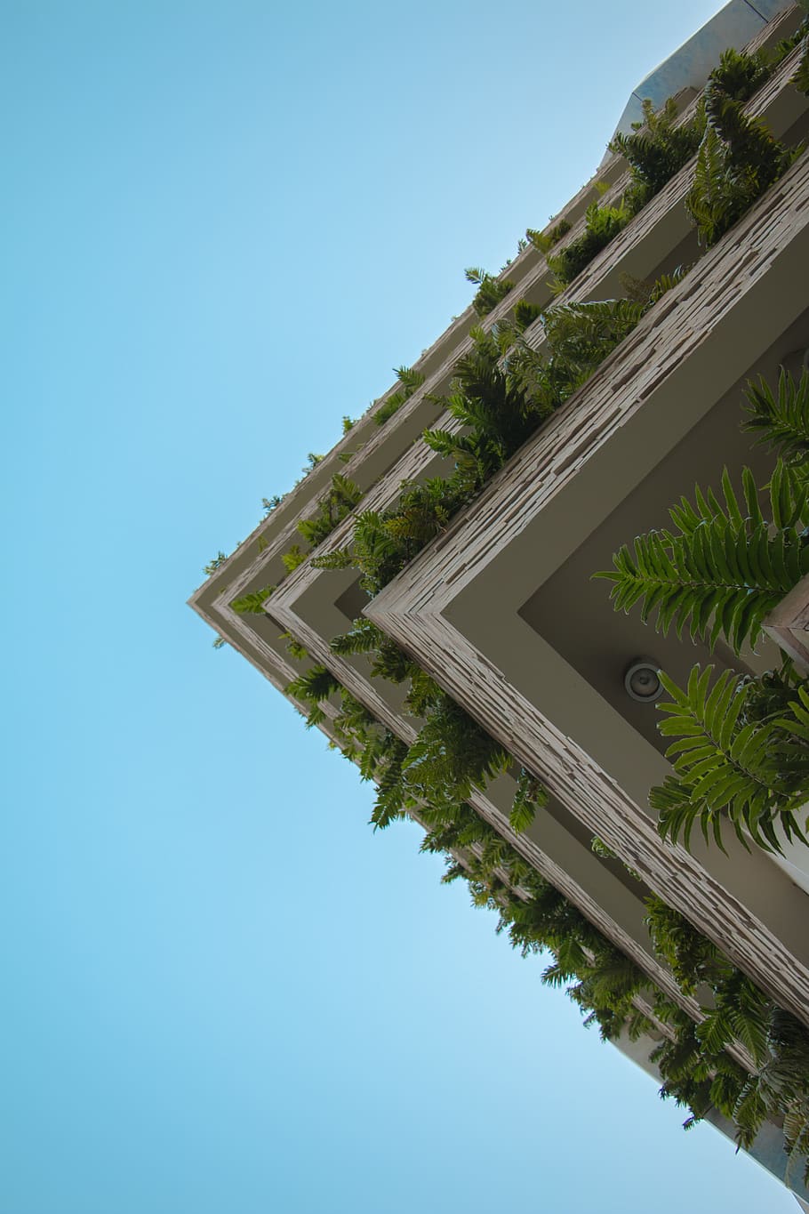 peru, distrito de lima, universidad de lima, green, blue, building, HD wallpaper