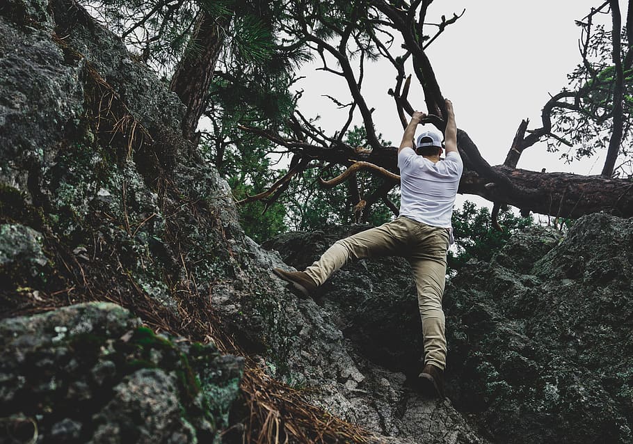 man climbing on rock while holding tree, plant, flora, canada HD wallpaper