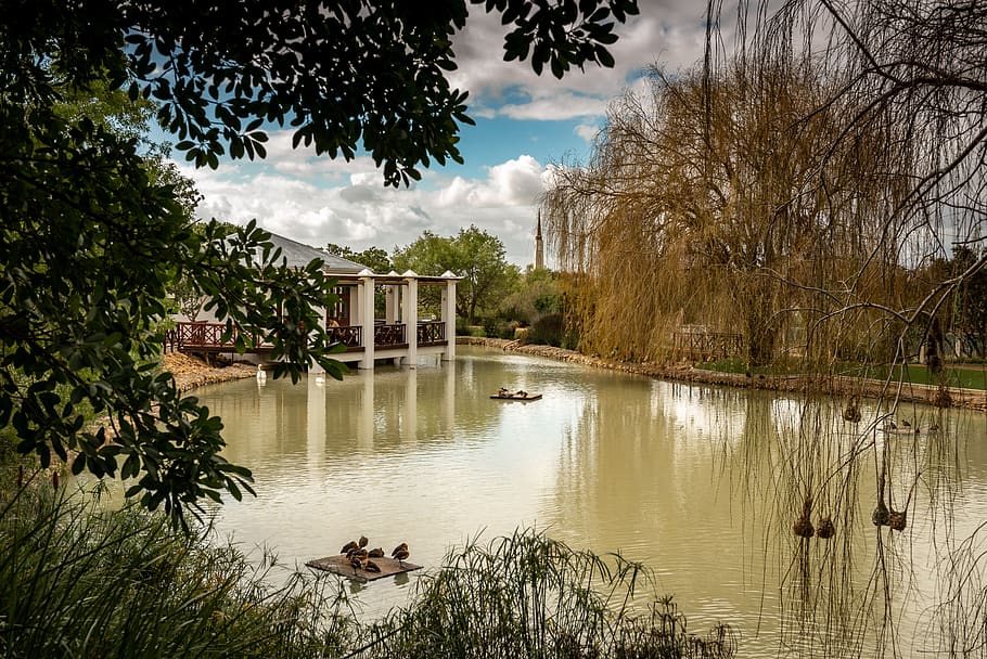 property, lake, idyllic, perspective, waterfowl, romantic, tourism HD wallpaper