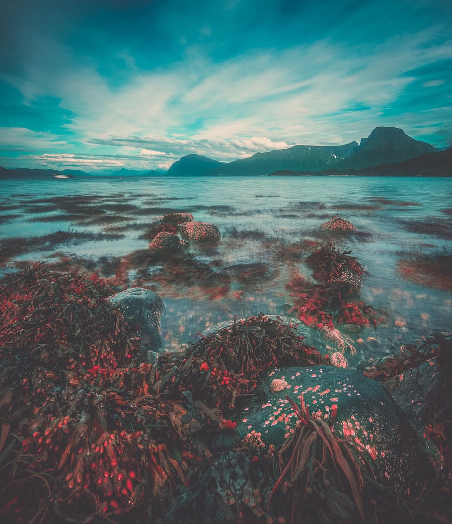 Body of Water Near Land, clouds, corals, environment, idyllic HD wallpaper