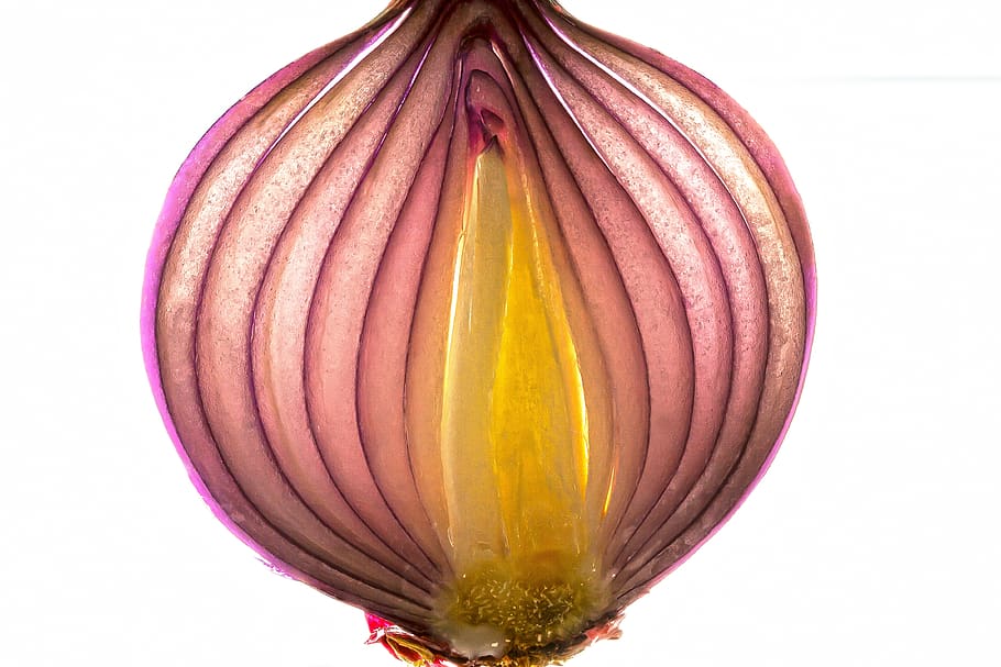 onion, red, eat, fresh, healthy, food, vegetables, nutrition HD wallpaper