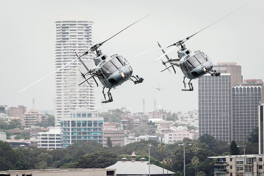 two flying helicopters, sydney, australia, flight, city, urban HD wallpaper