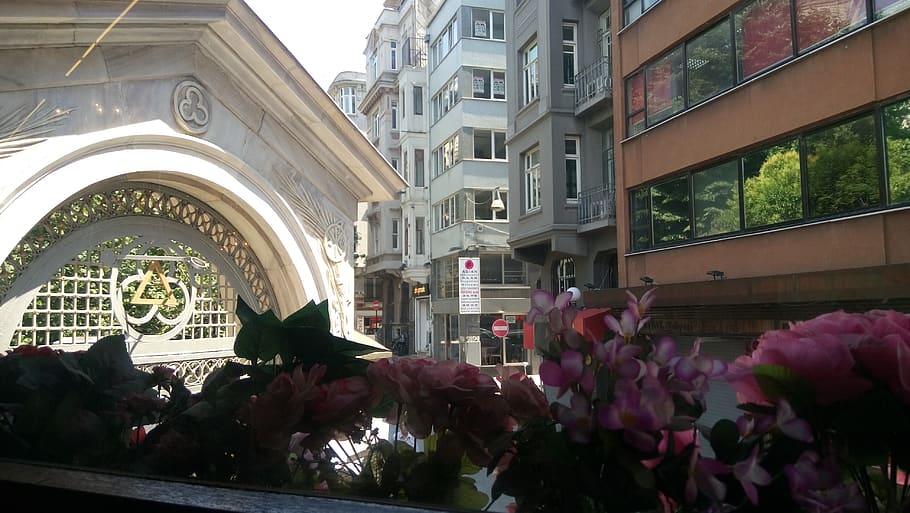 turkey, taksim, built structure, architecture, flower, plant HD wallpaper