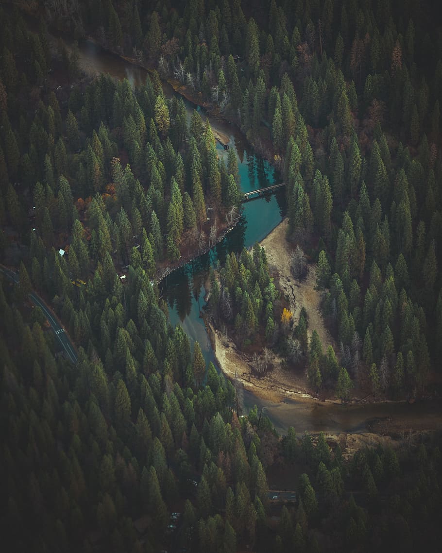 aerial photography of forest and river, tree, stream, creek, road HD wallpaper
