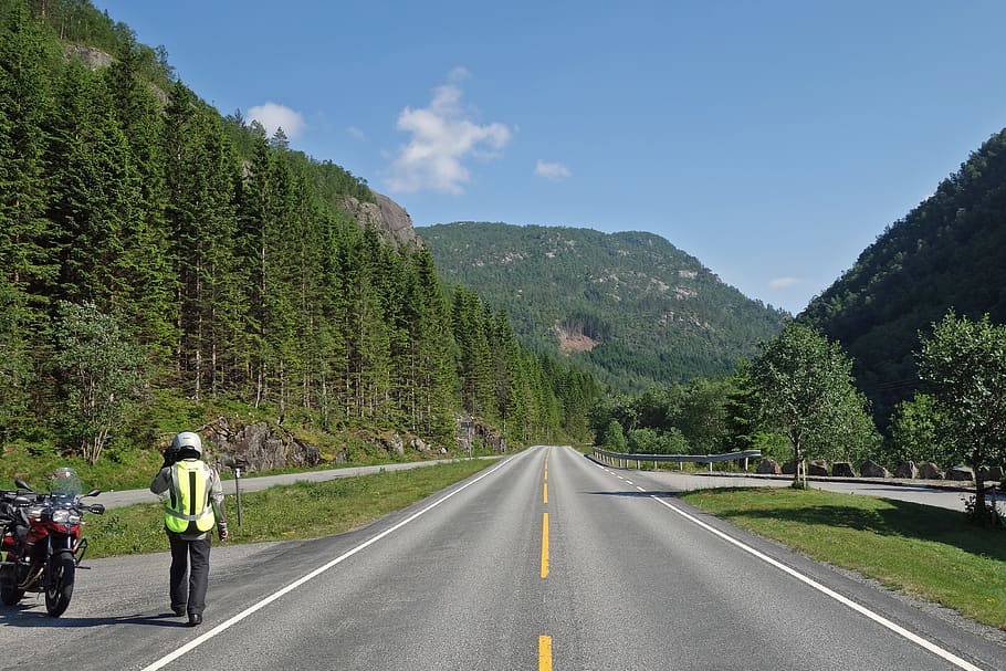 norway, transportation, road, mountain, tree, direction, the way forward HD wallpaper