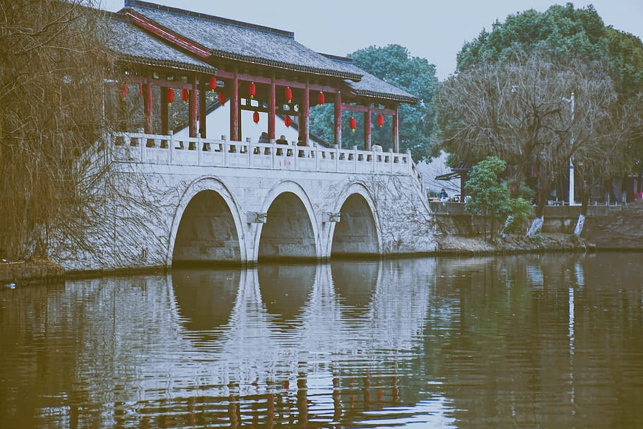 built structure, architecture, water, tree, building exterior HD wallpaper
