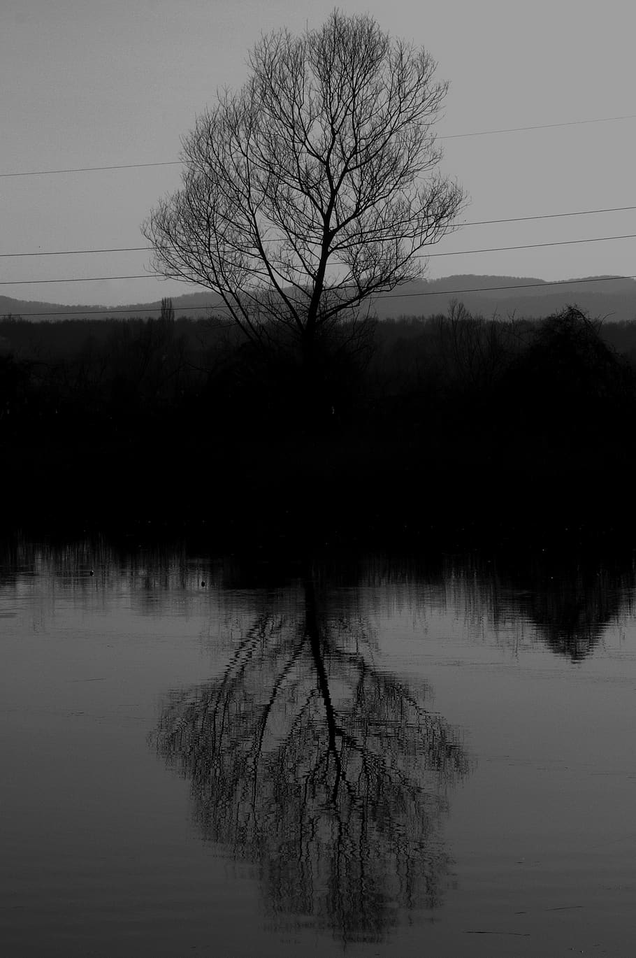tree, art, black, nature, mystical, reflection, water, lake HD wallpaper
