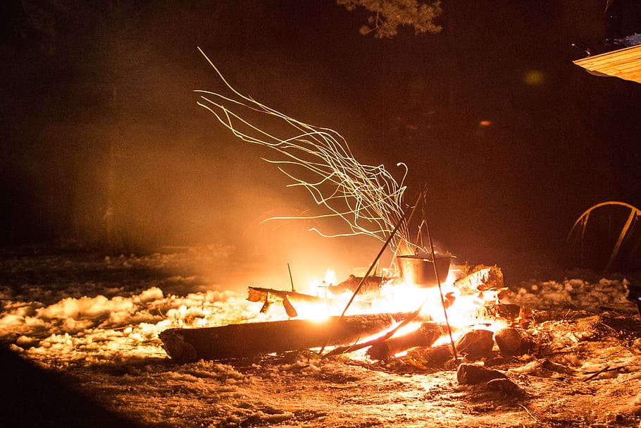 forest, winter, fire, night, camp, burning, heat - temperature HD wallpaper