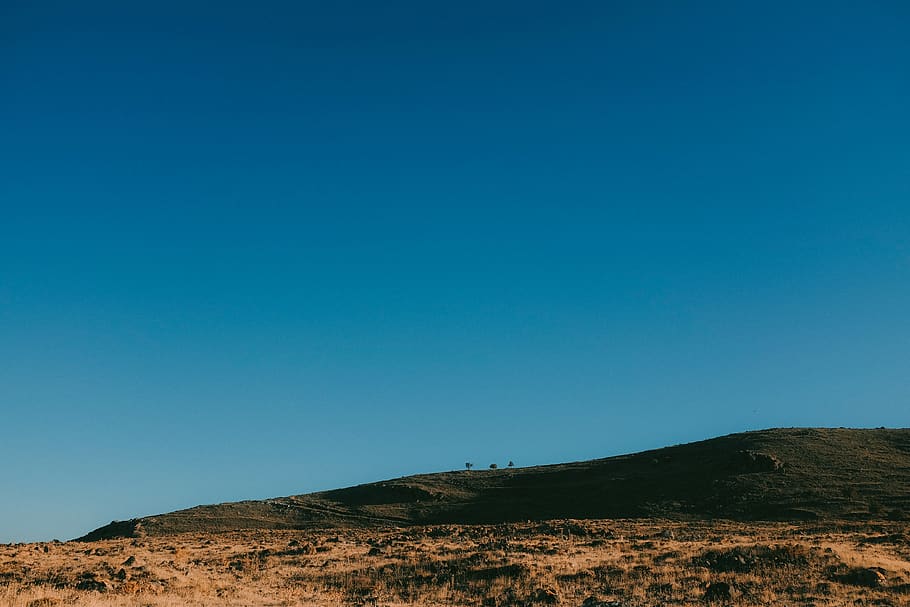 trees, mountain, sky, blue, tranquil scene, tranquility, clear sky HD wallpaper
