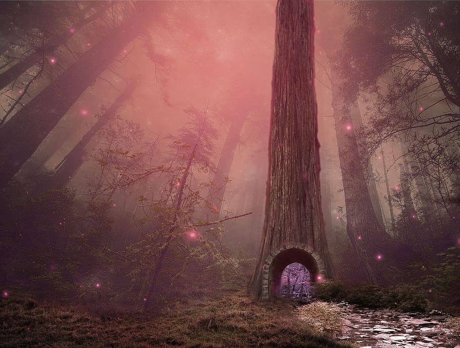 fairytale, forest, magic, stream, tunnel, surreal, water, rocks HD wallpaper