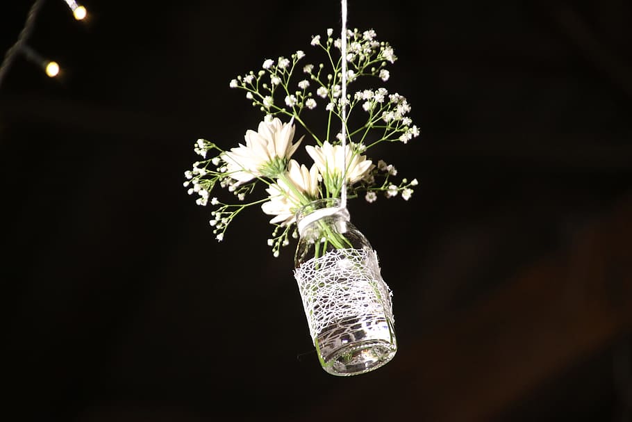 Photo of White Flowesr on Clear Glass Bottle, bloom, blooming HD wallpaper