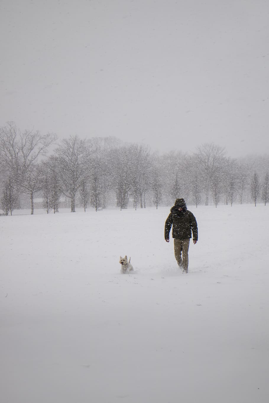 Photo of Man Wearing Black Jacket and Pants Walking on Snow, cold HD wallpaper