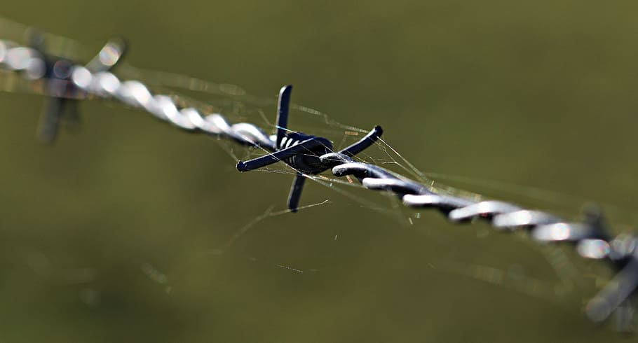barbed, wire, macro, metal, fence, metallic, object, safety HD wallpaper