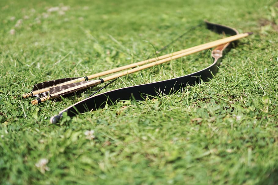 Black and Brown Bow on Grass Field during Daytime, lawn, sport HD wallpaper