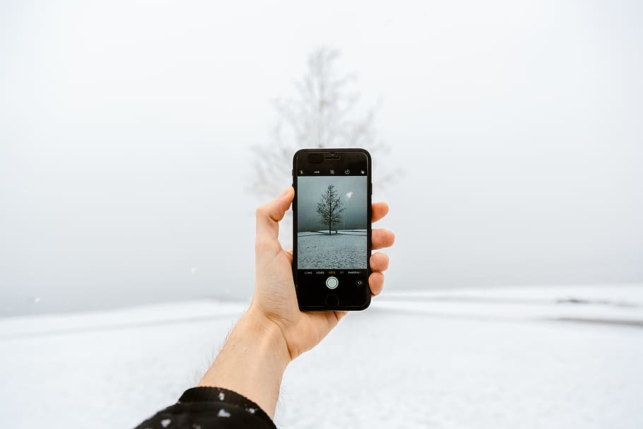 Person Taking a Photo of Tree, cold, iphone, portable, snow, technology HD wallpaper