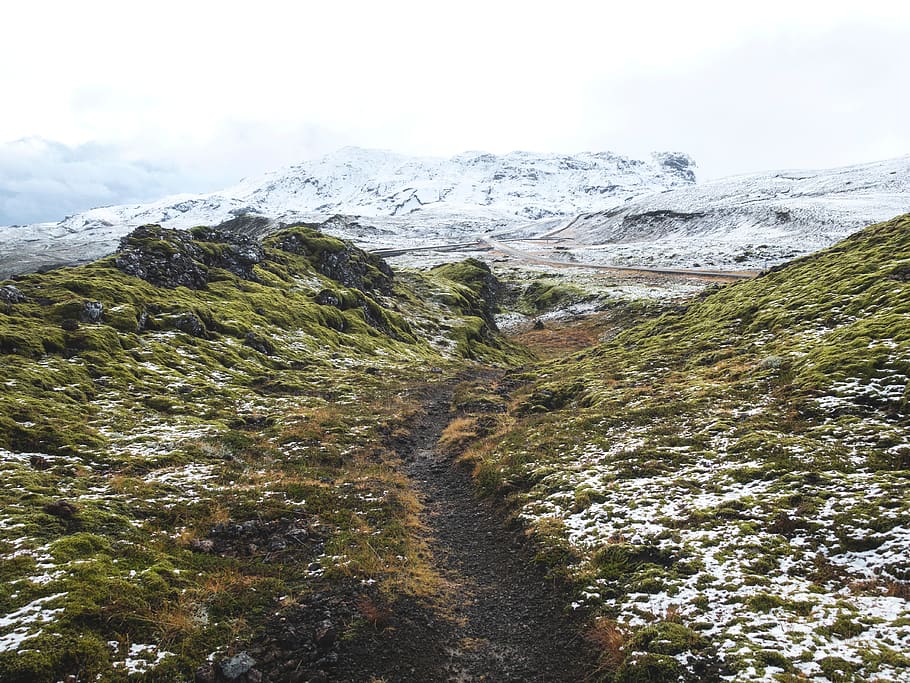 green, grass, plant, moss, path, road, mountain, rock, snow HD wallpaper