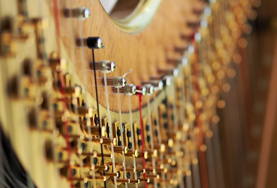 Selective Focus Photography of String Musical Instrument, blur HD wallpaper