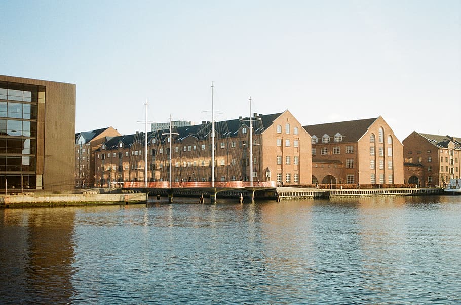 brown buildings on sea side, water, denmark, port, dock, pier, HD wallpaper