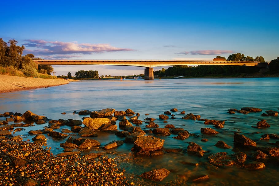 water, river, waters, rhine, bridge, rheinbrücke, bank, stones HD wallpaper