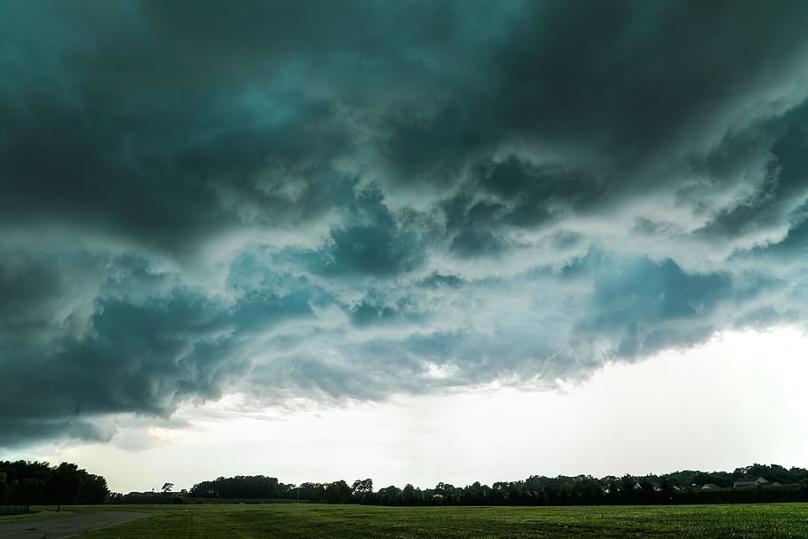 cloudy sky, field, horizon, storm, cloudscape, nature, tree, forest HD wallpaper