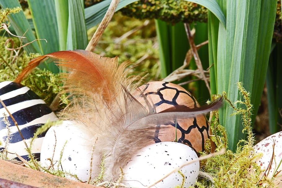 easter eggs, easter nest, easter decoration, easter theme, spring HD wallpaper