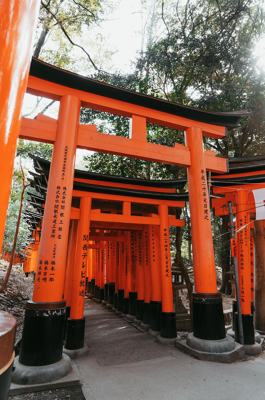 orange Torii gataew, orange color, architecture, built structure HD wallpaper