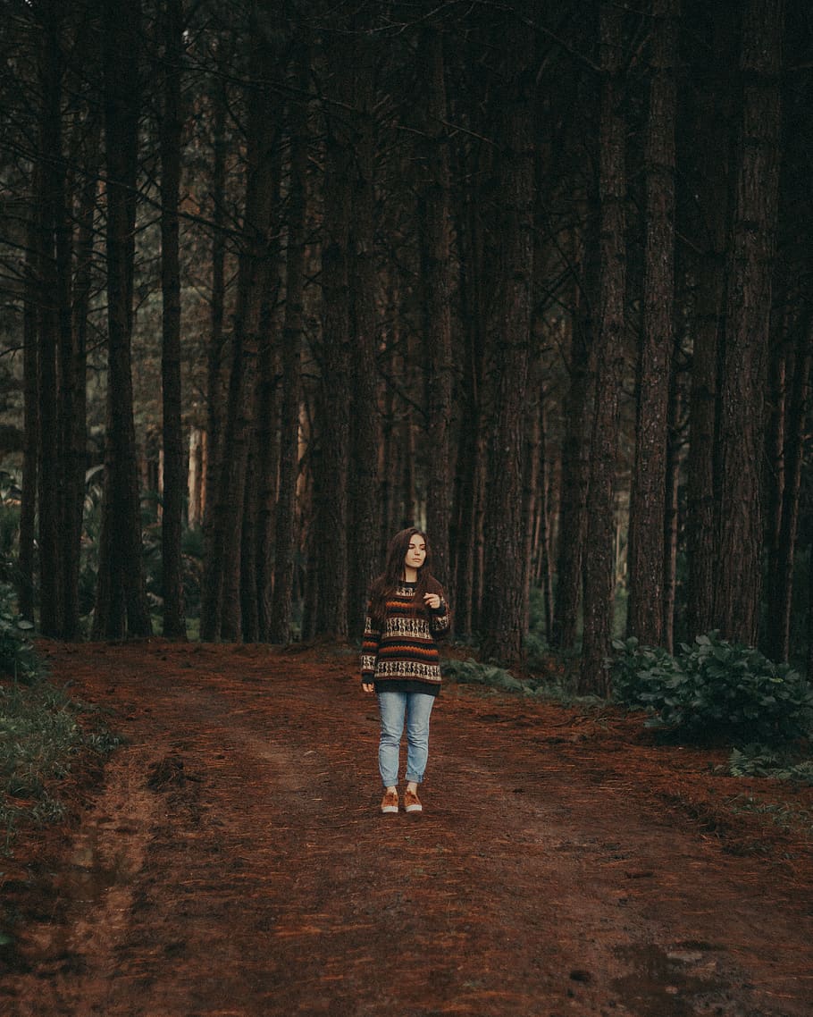 Woman in the Woods, backlit, beautiful, color, conifer, daylight HD wallpaper