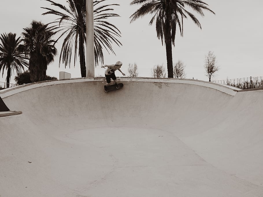 person skating on curved wall, tree, palm tree, real people, one person HD wallpaper