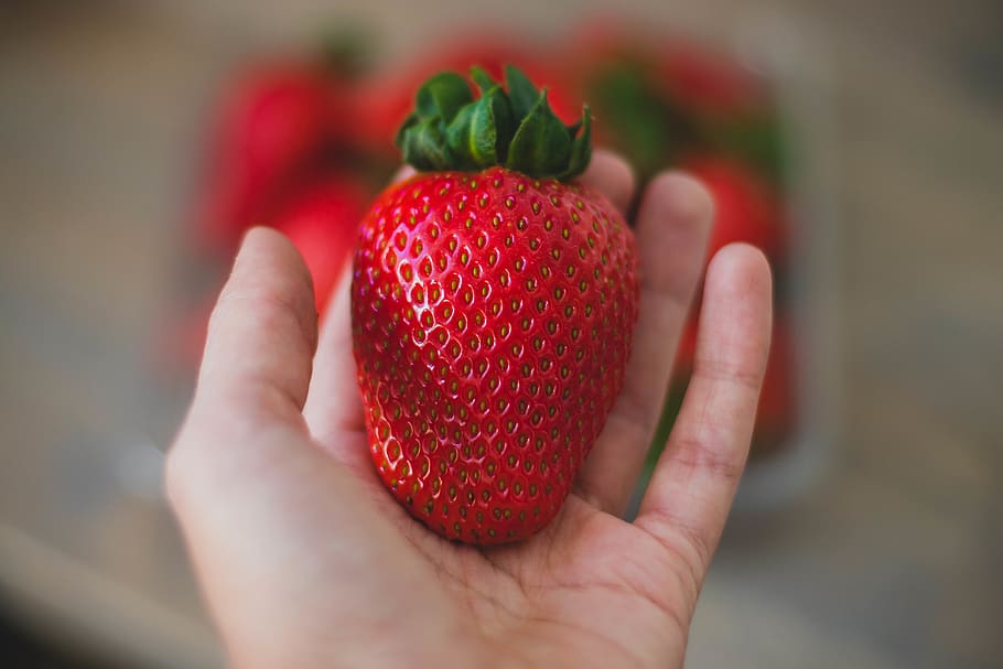 Close-Up Photography of Strawberry, blur, delicious, depth of field, HD wallpaper