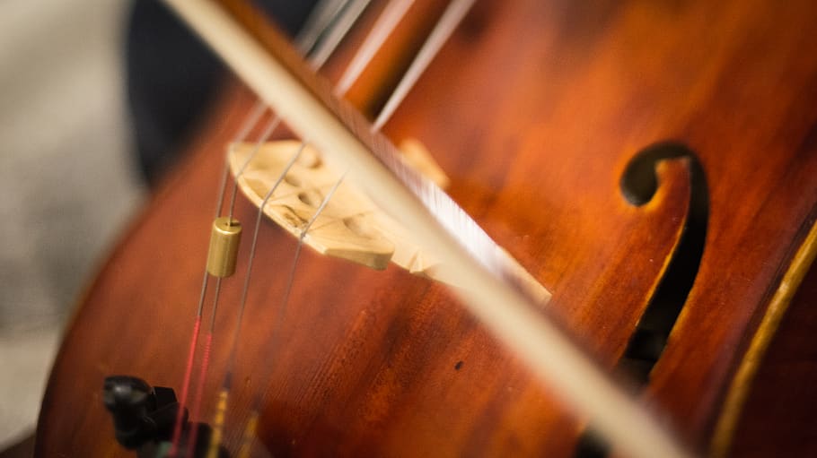 cello, string, hk, music, instrument, string instrument, musical instrument HD wallpaper
