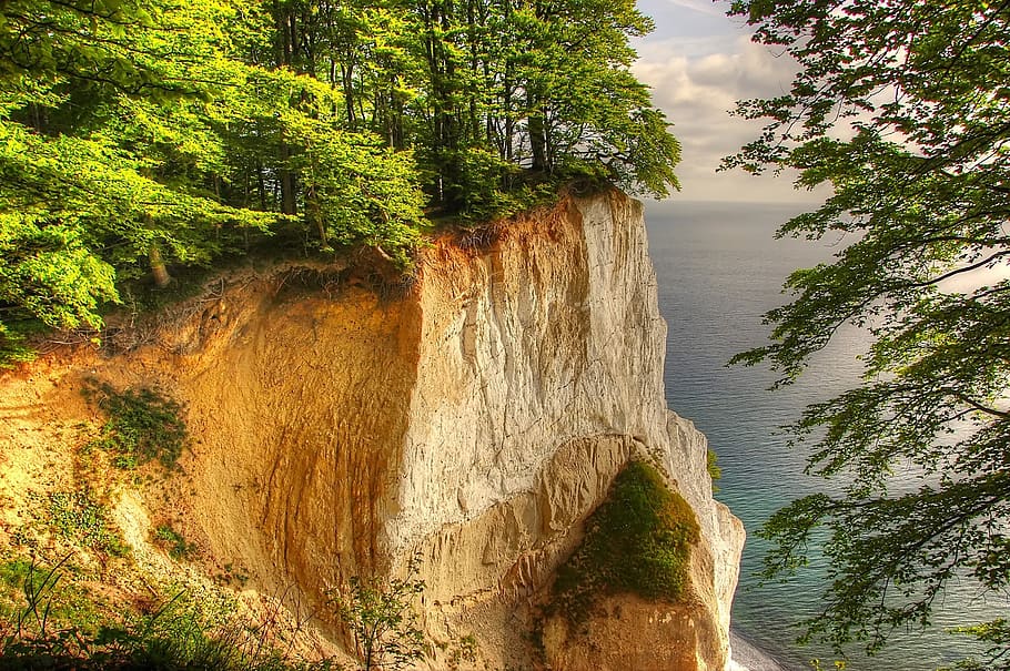 Landscape Photography of Tall Trees on Cliff, beautiful, daylight HD wallpaper