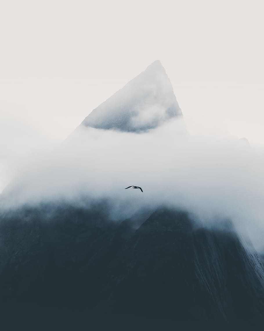 black bird in flight during daytime, mountain, cloud, cloudy HD wallpaper
