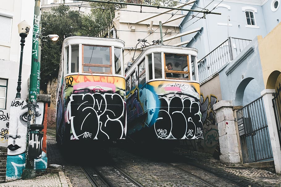 2 multicolored trams, vehicle, bus, transportation, train track HD wallpaper