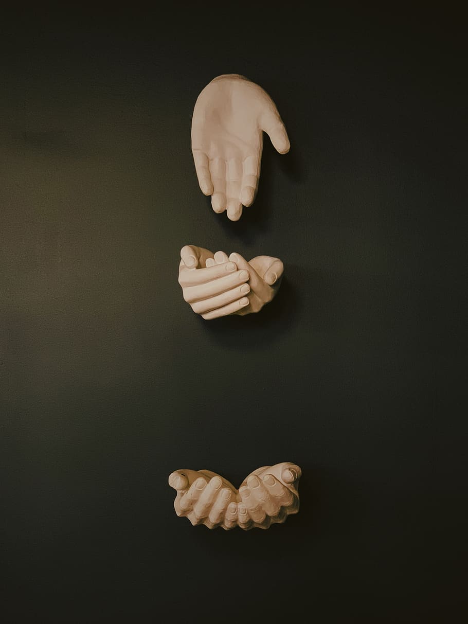 human hands decor, animal, sea life, finger, invertebrate, clam HD wallpaper