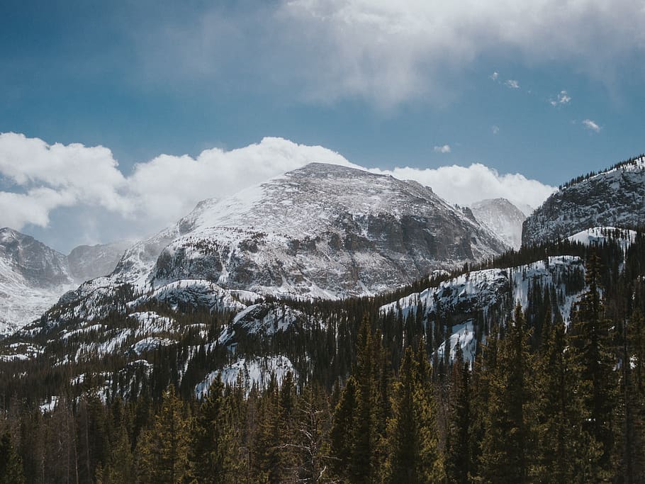 mountains, snow, winter, trees, forest, wilderness, nature HD wallpaper