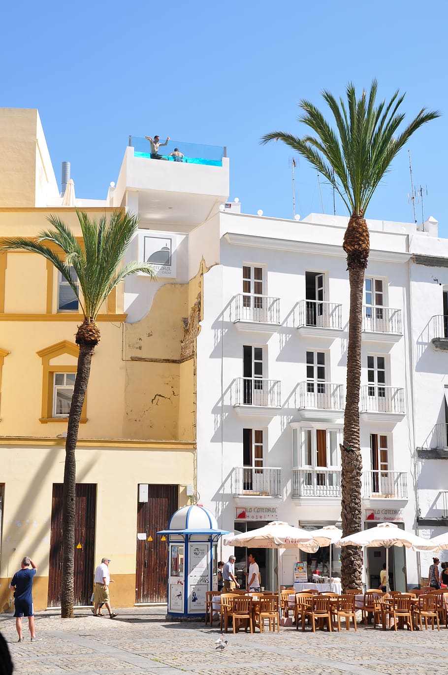 spain, cádiz, palm tree, swimming pool, hotel, square, rooftop