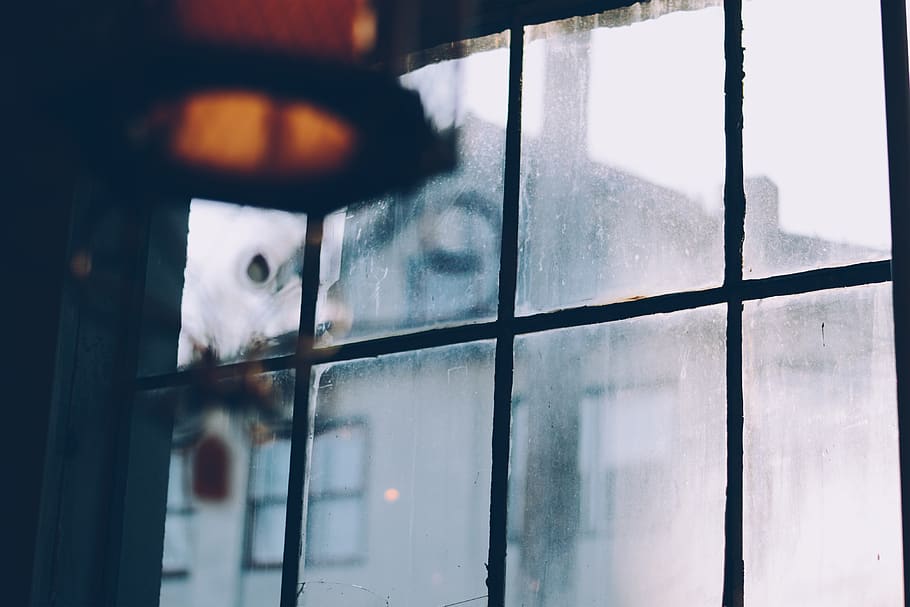 clear glass window, outdoors, nature, portland, or, home decor HD wallpaper