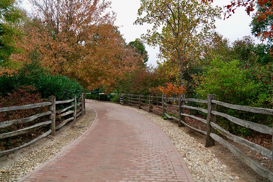 A railed forest road., united states, alexandria, brick, autumn HD wallpaper