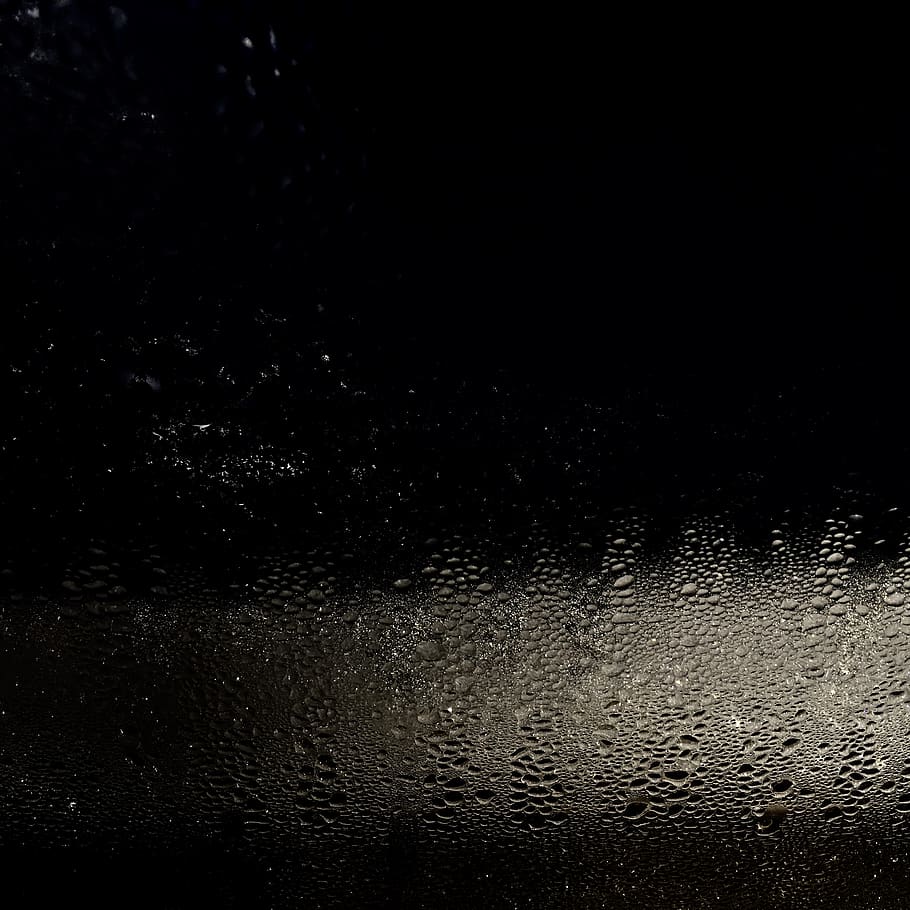 drop, wet, rain, water, indoors, raindrop, black background, HD wallpaper