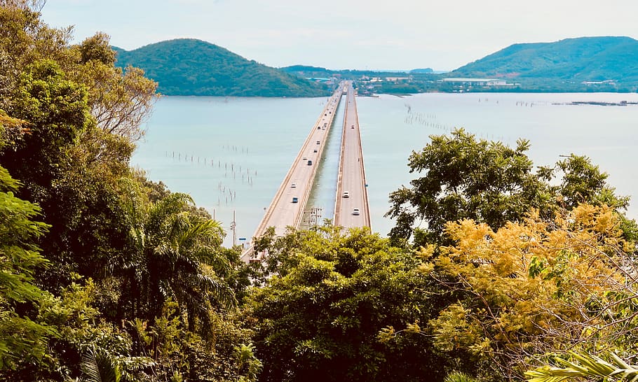 green-leafed plant, tinsulanonda bridge, sathing mo, thailand HD wallpaper